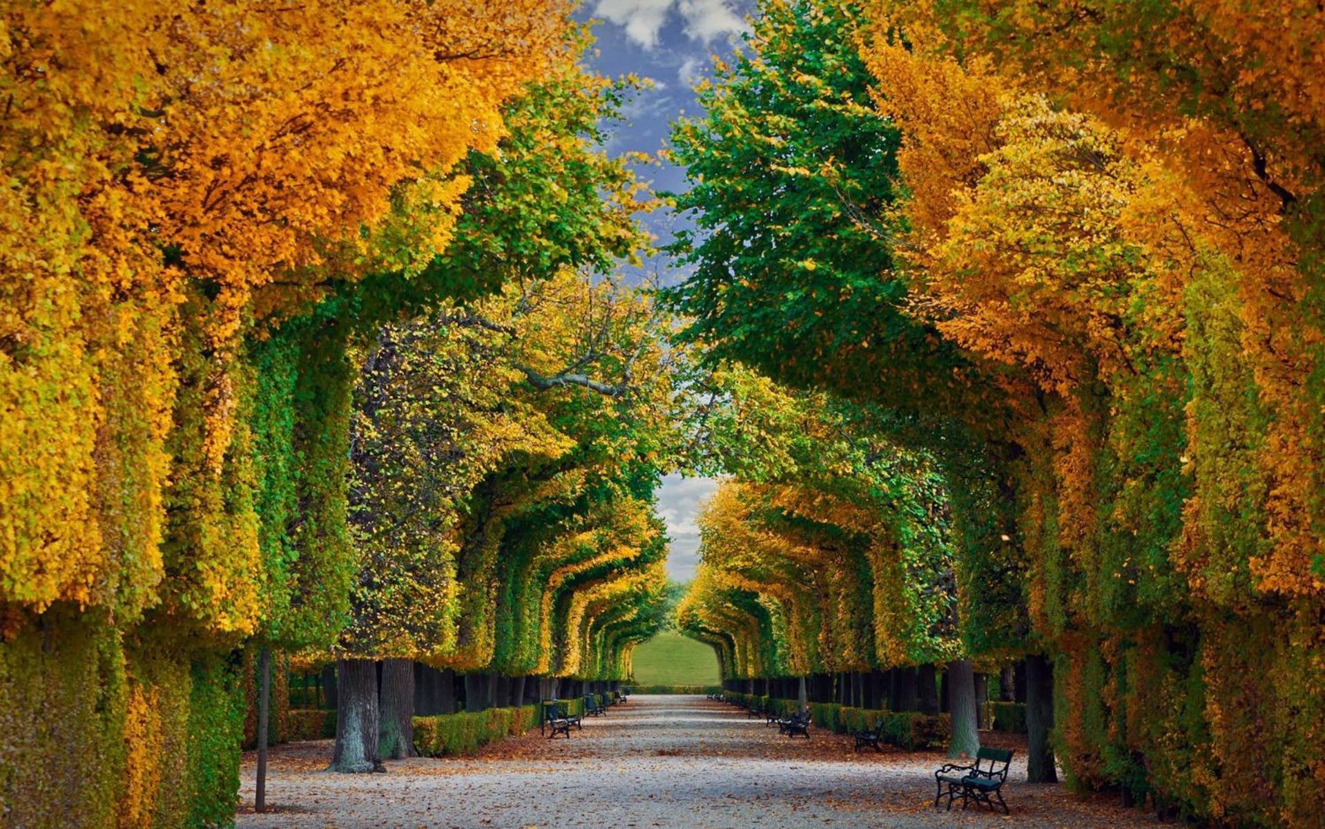 Luxe View Schoenbrunn Suite Viena Exterior foto